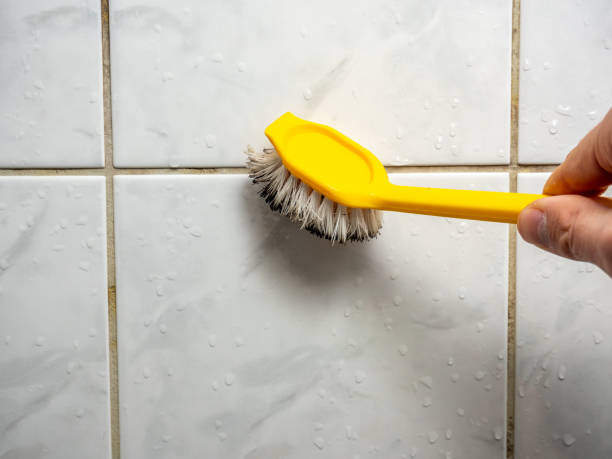 Best Mold Testing  in Munhall, PA