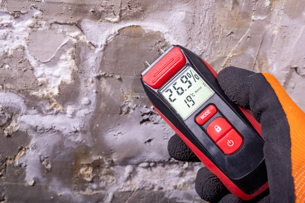 Best Office Mold Removal Services  in Munhall, PA