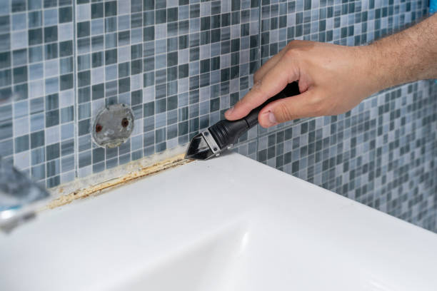 Professional Mold Removal in Munhall, PA